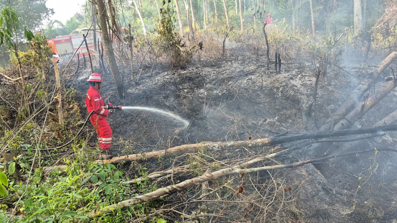 PHR Zona 4 Kerahkan Tim dan Armada, 113 Karhutla di Sumsel Berhasil Ditangani