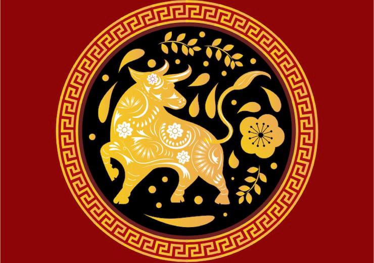 Ramalan Shio 10 Januari 2025, Kelinci Tidak Apa Untuk Bersenang Hari Ini