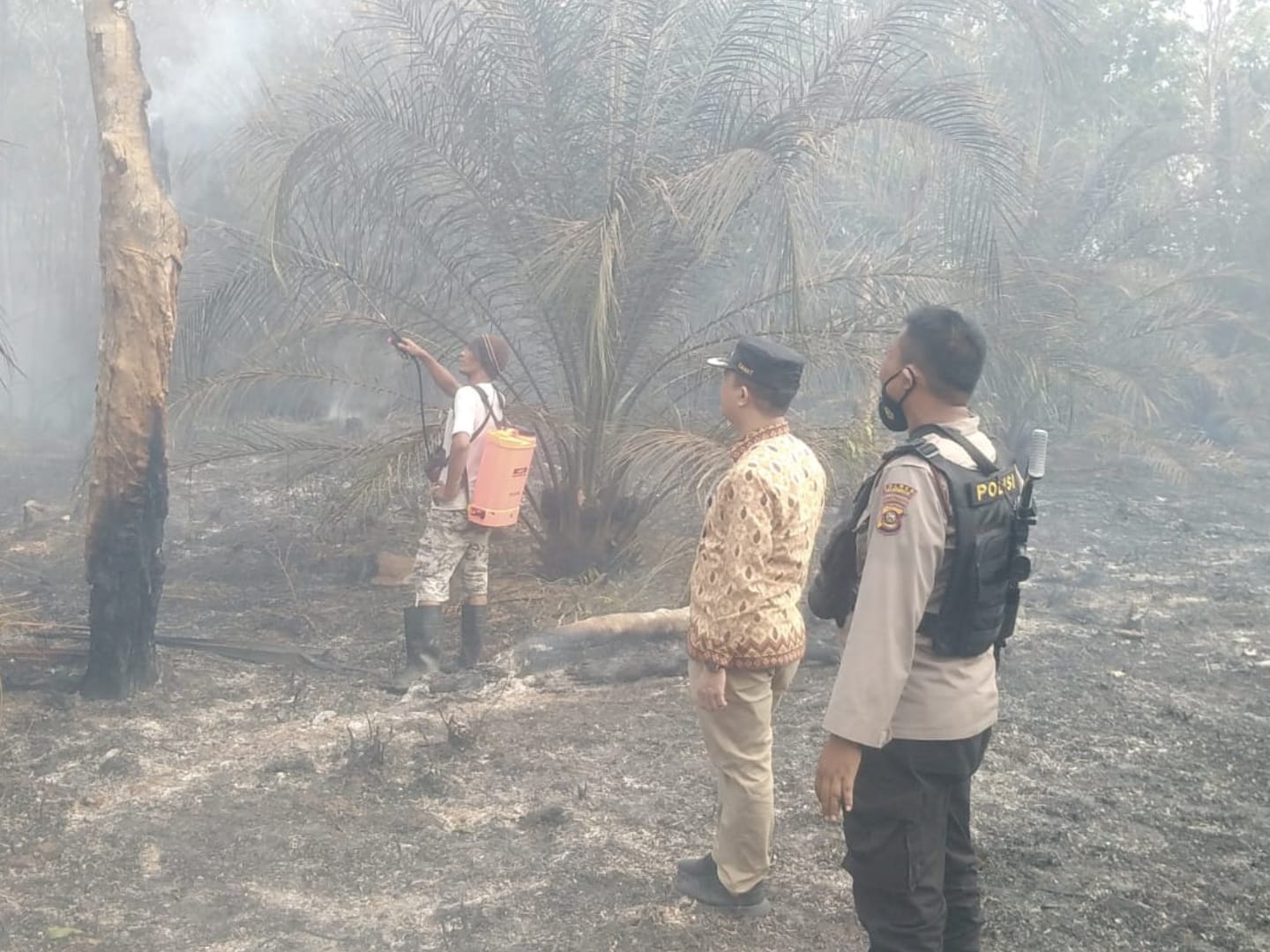 18 Hektar Kebun Sawit dan Karet di 2 Desa Kecamatan RKT Prabumulih Dilalap Api 