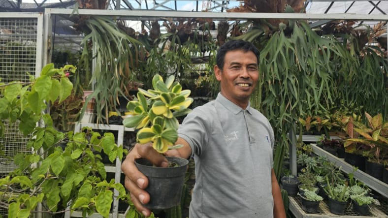 Sukses Jadi Mata Pencaharian Warga Sekitar, Ini Kisah Klaster Usaha Tanaman Hias Binaan BRI 