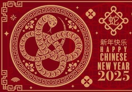 Ramalan Shio 6 Juli 2025 : Naga Hari Ini Bisa Menjadi Sangat Menyenangkan Untukmu