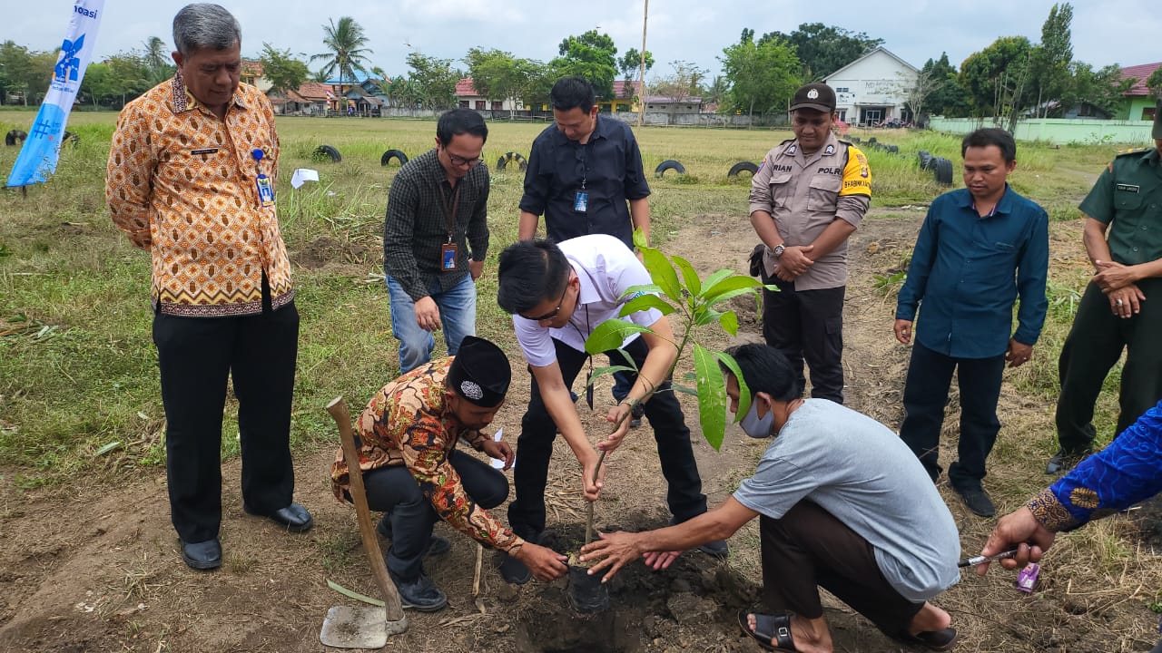 CSR BRI Prabumulih, Bantu 200 Bibit Buah