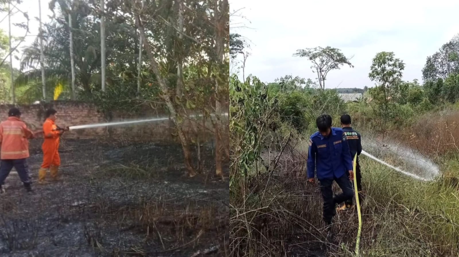 2 Kejadian Kebakaran Lahan Terjadi Selama 2 Hari di Kota Prabumulih