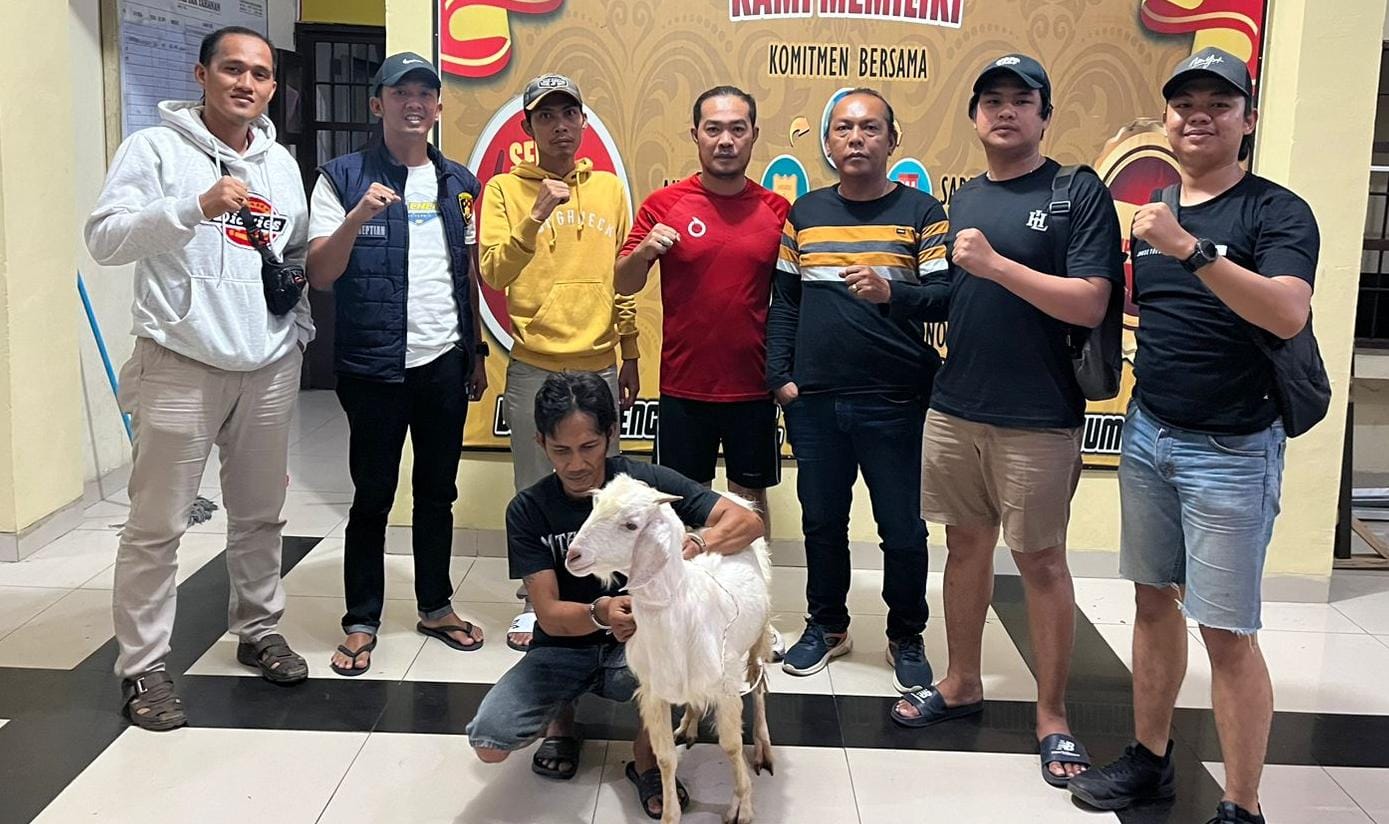 Aksi Cepat Tim Gabungan: Pelaku Pencurian Kambing Ditangkap di Prabumulih