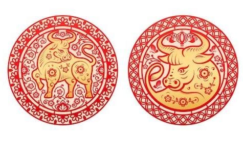 Ramalan Shio 21 Januari 2026, Kerbau Luangkan Waktu Anda Pada Lingkungan yang Positif 