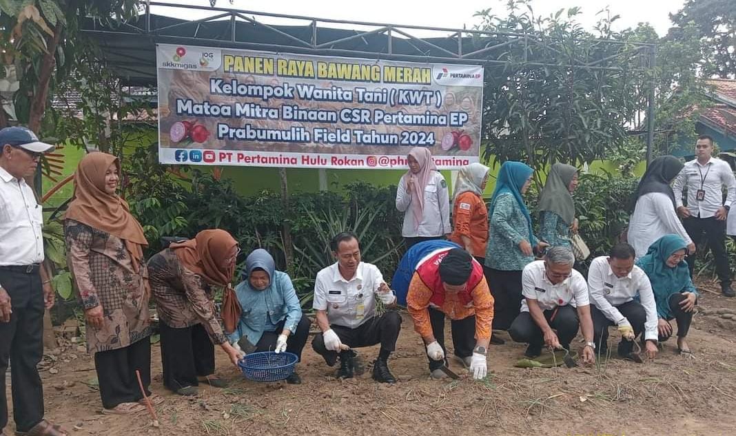 Pemkot Prabumulih Wacanakan Tanam Bawang di Lahan Belakang Pemkot