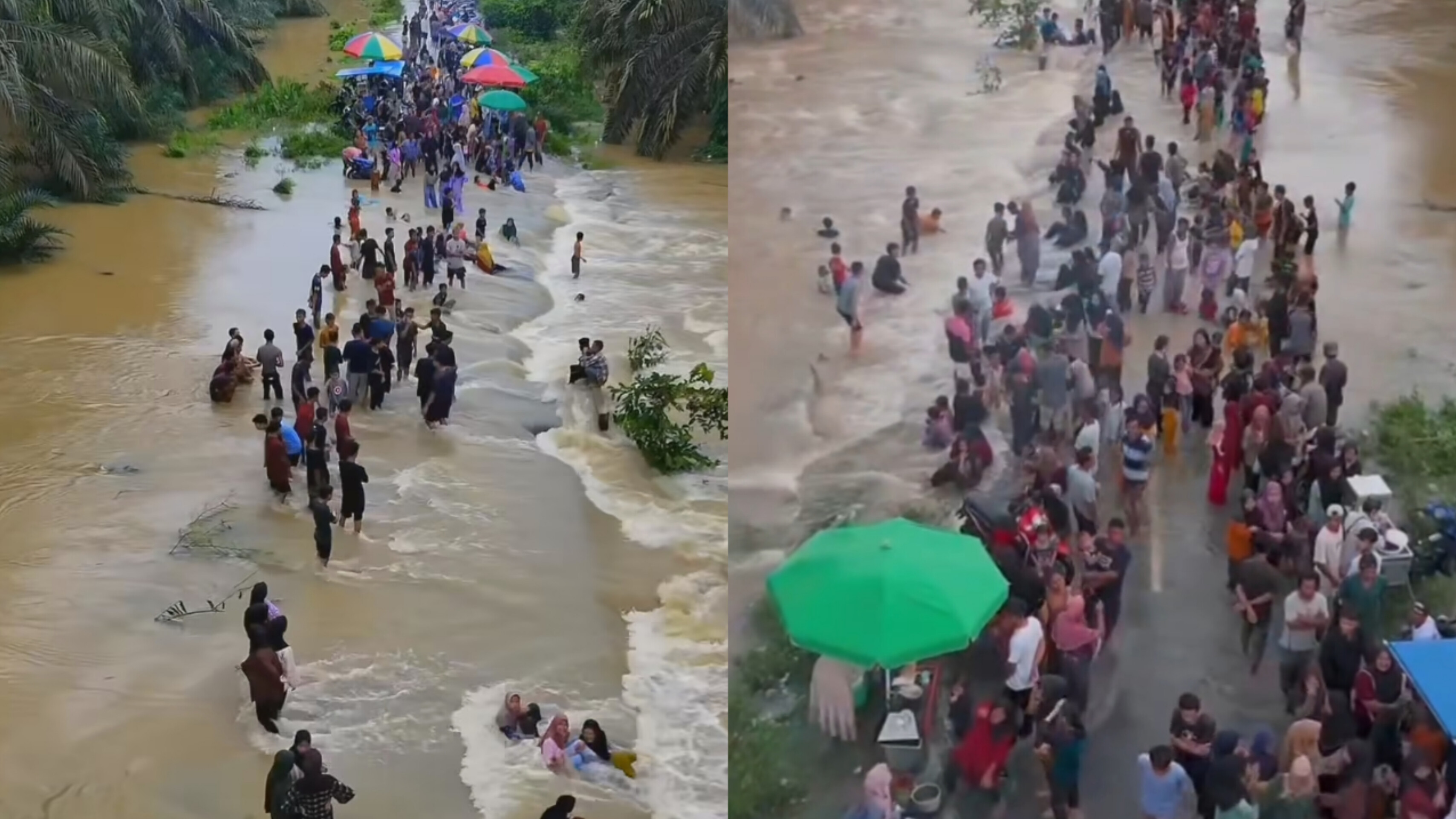Viral! Banjir di Kebun Sawit Riau jadi Objek Wisata Dadakan: Ketika Musibah jadi Berkah