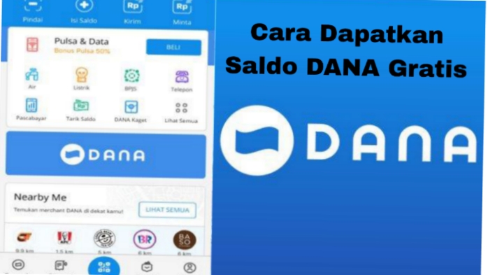 Peluang Dapatkan Rp225.000 Gratis di DANA, Ini Caranya!