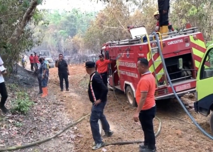 Karhutla di Gunung Kemala Terkendala Akses, Alat Berat Dikerahkan Buka Jalan