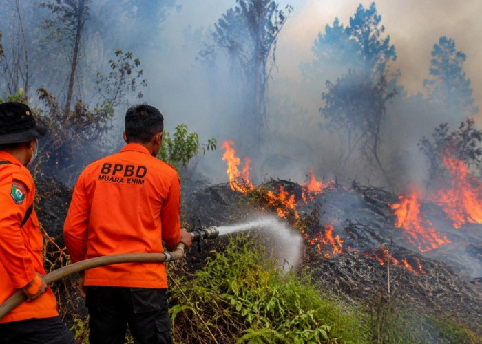Karhutla Meluas di Muara Enim, 55 Hektare Lahan Terbakar, Gelumbang Jadi Wilayah Terparah