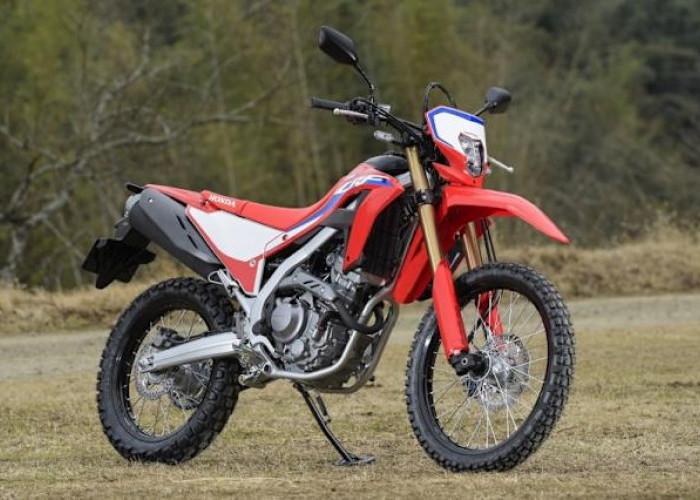 Spesifikasi Honda CRF250L, Motor Tangguh Buat Petualangan On Road dan Off Road