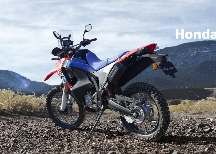 Lebih Suka Berjalan Santai Atau Menjelajah Alam, Adu Spesifikasi Honda Monkey Vs Honda CRF250 Rally