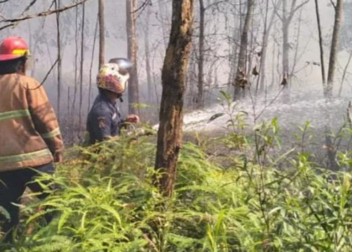 Penanganan Karhutla, BPBD Prabumulih Siapkan 3 Posko