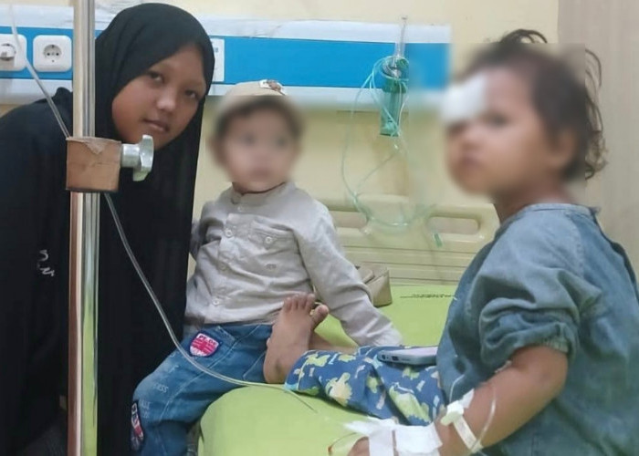 Balita di Prabumulih Jalani Operasi Usai Diserang Anjing, Warga Minta Penertiban Serius