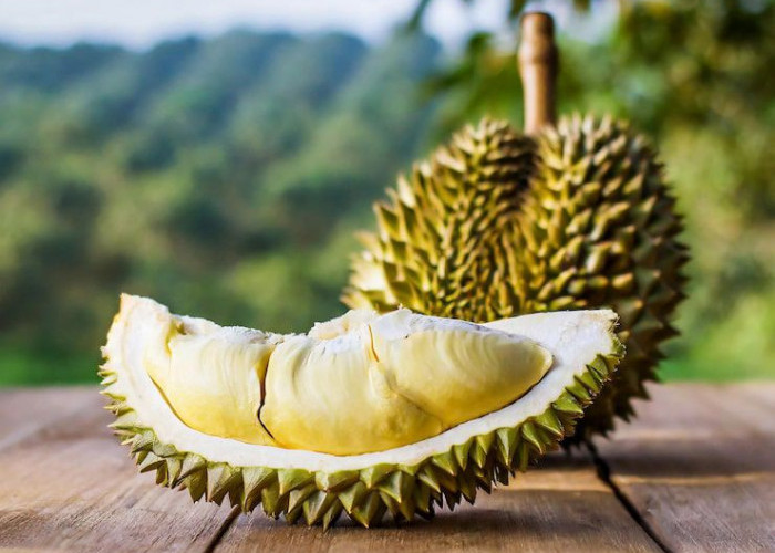 Sekarang Musimnya Raja Buah Durian, Apa Dampak Kesehatan Mengkonsumsinya