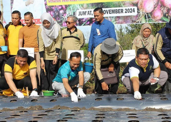 Forkopimda Prabumulih Bersama Pj Walikota Tanam Bawang Merah untuk Ketahanan Pangan