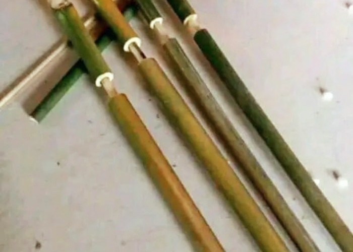 Bedelan Bambu Permainan Jadul, Gen Y Pasti Familiar, Gen Z Banyak Tak Tahu 