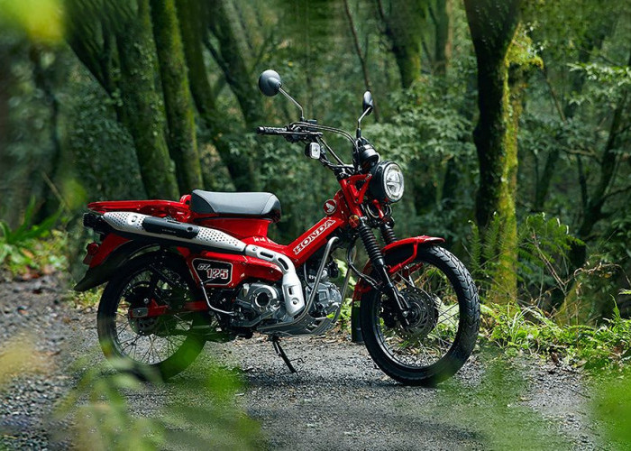 Kelebihan dan Kekurangan Honda CT125 Hunter Cub, Motor Petualang yang Memiliki Karakter Kuat