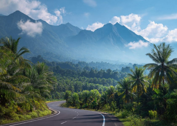 Jangan Asal Berangkat! Ini 5 Tips Aman Melintasi Jalan Lintas Sumatera