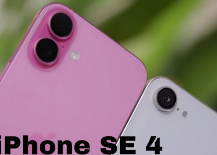 iPhone SE 4: Desain Kekinian dan Performa Flagship dengan Harga Terjangkau
