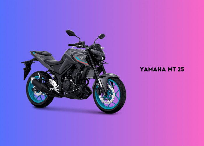 Yamaha MT 25 Miliki Mesin 250cc, Cocok Dibawa Touring Antar Kota, Segini Harganya..