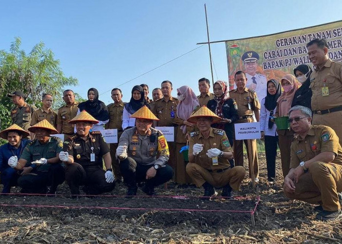 Pemkot Prabumulih Tanam Bawang, Hasilnya untuk Pasar Murah, Pj Wako: Jangan Ditunda Lagi