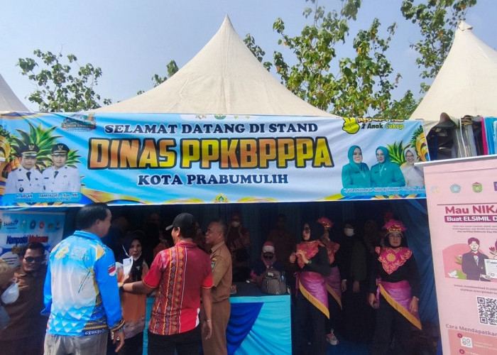 Bak Fenomena Gunung Es, DPPKBPPPA Prabumulih Sebut Kasus Bullying Diduga Banyak Tak Terungkap