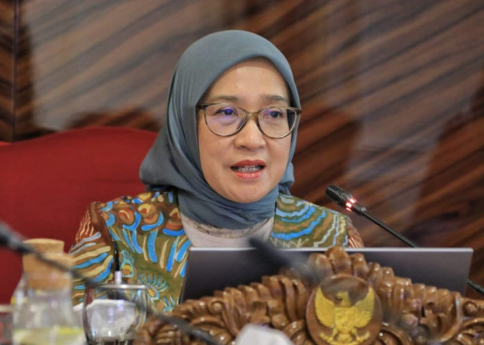 Optimalisasi Formasi PPPK 2024: MenPANRB Minta Perhatian Lebih untuk Daerah