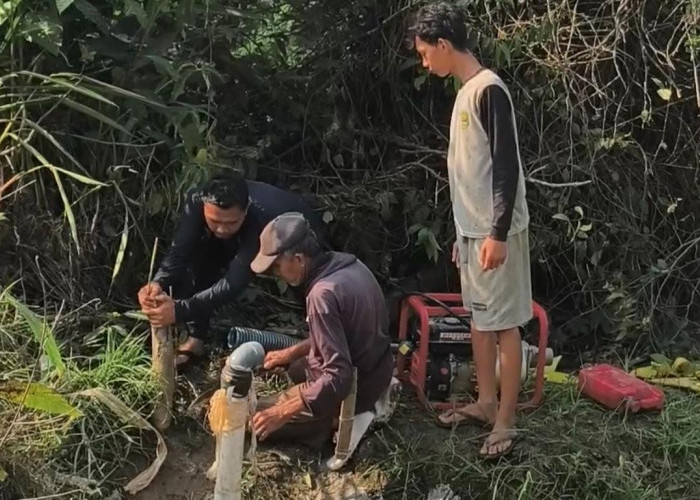 Sawah Mulai Retak, Petani OKU Timur Andalkan Sumur Bor dan Gas Melon untuk Selamatkan Padi