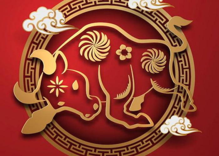 Ramalan Shio 14 Februari 2026, Monyet Percaya Dirilah Hari Ini