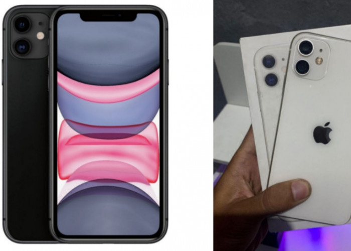 iPhone 11 & XR Bekas di 2025: Masih Layak Dibeli?