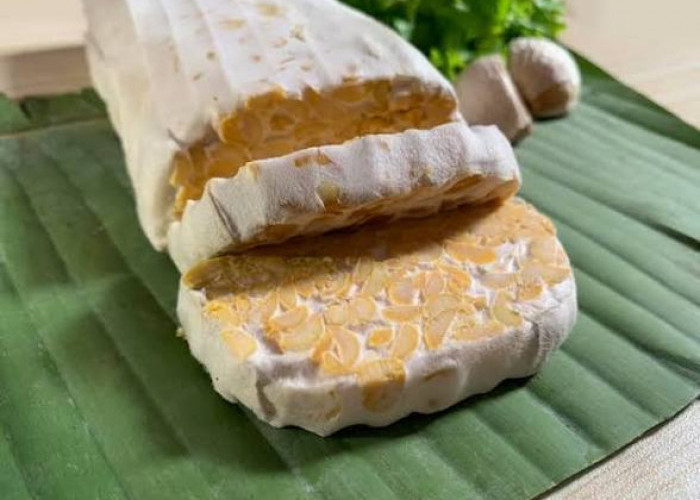 Ingin Menjaga Kesehatan Otak? Kenali 4 Makanan Fermentasi Ini