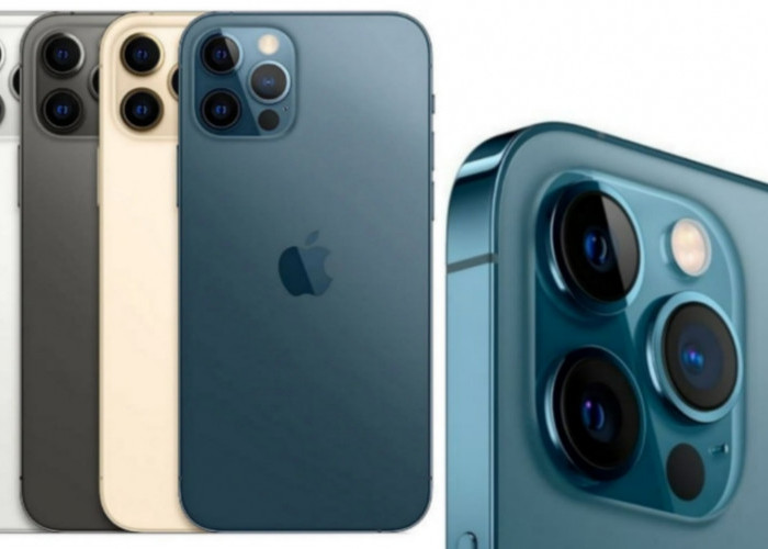 iPhone 12 Pro Max vs iPhone 13, Pilih yang Mana di 2025?
