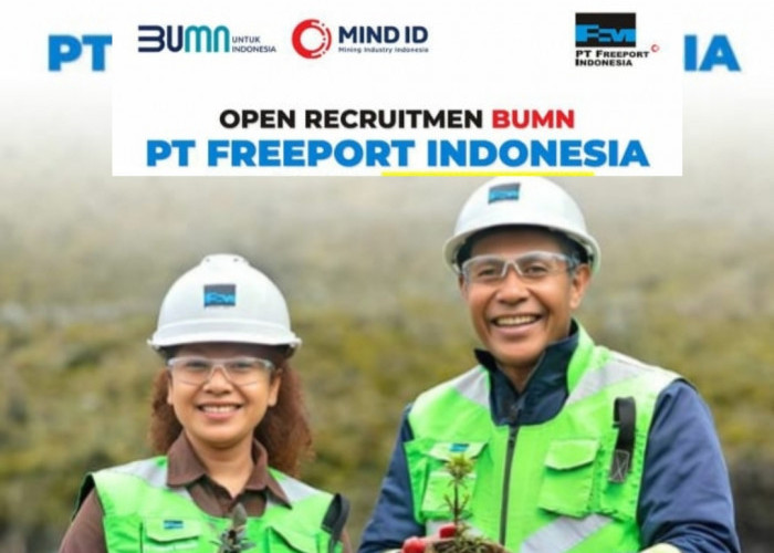 Lowongan Kerja PT Freeport Indonesia, Buka 4 Posisi! Ini Persyaratan dan Penempatan