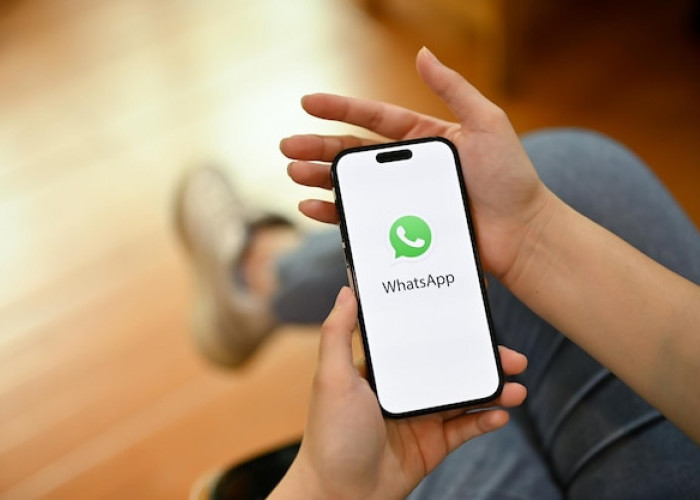 Maksimalkan Pengalaman Anda! Tips Efektif Menggunakan Saluran WhatsApp