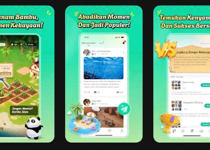 Panduan Lengkap Panjoy: Cara Main dan Cara Cairkan Saldo DANA