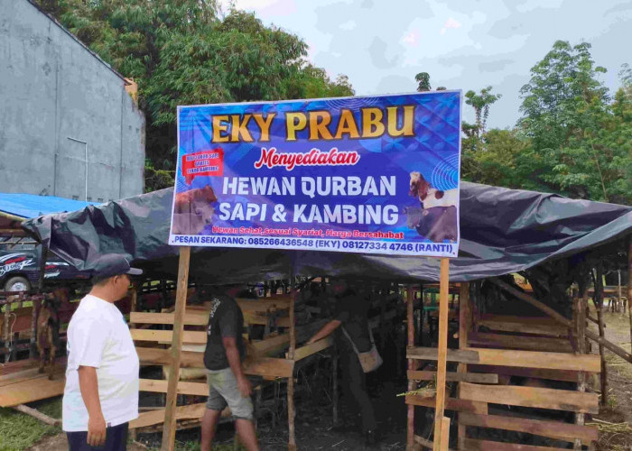 Jelang Idul Adha 1447 H, Penjualan Hewan Kurban di Prabumulih Mulai Diserbu Warga
