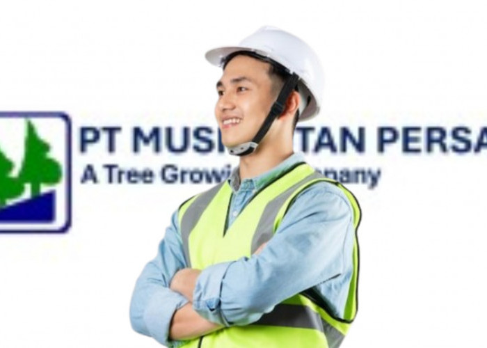 PT Kreasi Wanna Lestari Cari Driver Tronton, Penempatan di Operasional MHP