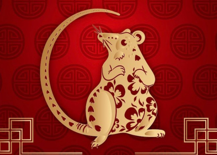 Ramalan Shio Terbaru 16 September 2025, Ular Siap Siaplah dengan Kejadian Tak Terduga