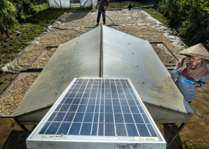 Wujudkan Komitmen Sebagai World-Class Sustainable Banking Group, BRI Perkuat Kontribusi terhadap SDGs