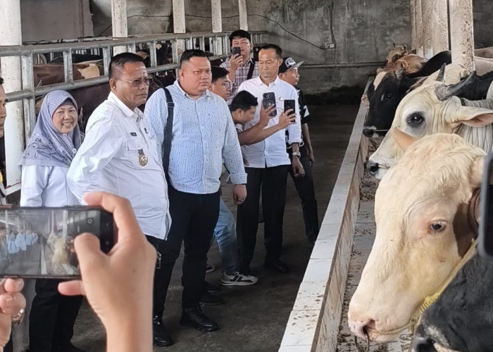 Wali Kota Arlan Ajak Masyarakat Ramaikan Salat Idul Adha di Islamic Center Prabumulih