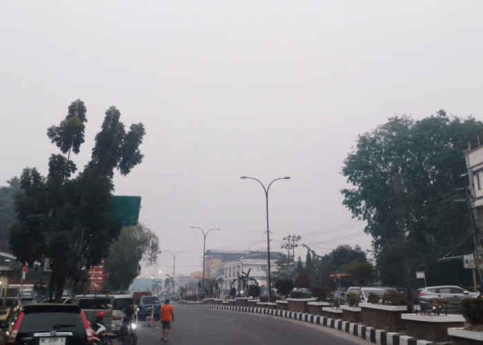 Tak Terdeteksi Titik Panas, Kabut Asap Kiriman Kepung Kota Nanas: Penanganan Karhutla Dioptimalkan 