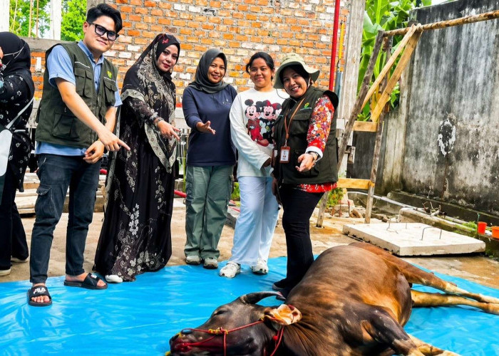 Pemkot Prabumulih Turunkan Tim Khusus, Pastikan Hewan Kurban Aman Dikonsumsi