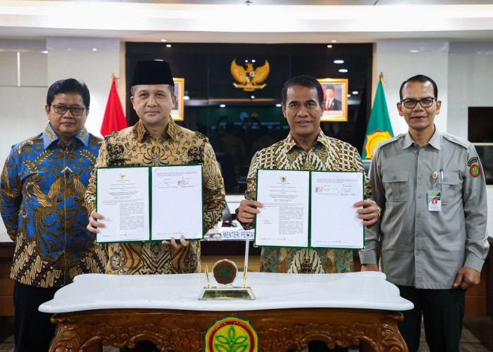 Petani dan Transmigran Berpeluang Raih Pendapatan Lebih Tinggi dari Gaji Menteri