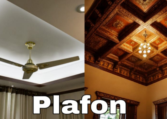 8 Jenis Plafon Rumah yang Bikin Interior Makin Estetik dan Nyaman