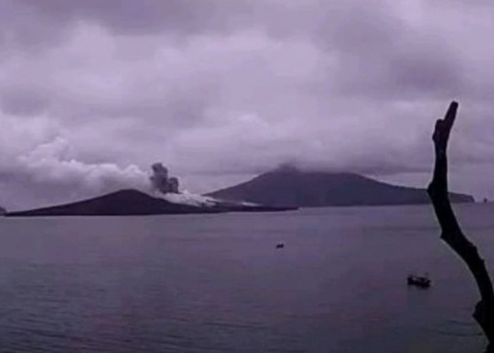 Gunung Anak Krakatau Lontarkan Abu Setinggi 100 Meter