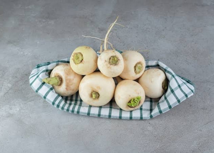 Memperkuat Sistem Kekebalan Tubuh, Ini Manfaat Lobak Putih Untuk Kesehatan