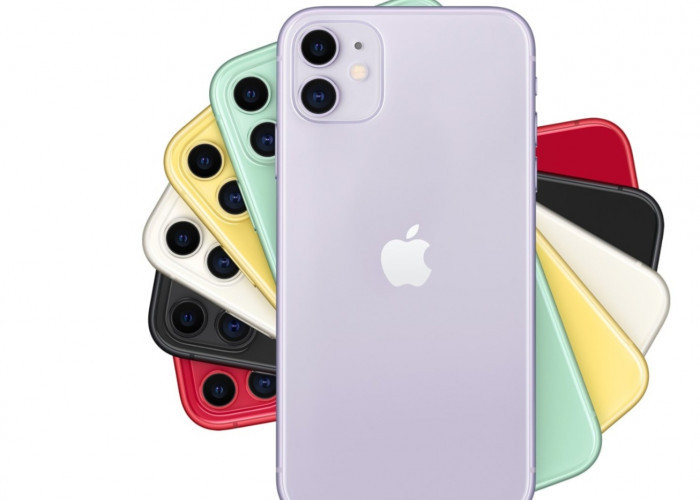 iPhone 11 Turun Setengah Harga, Yuk Intip Spesifikasinya