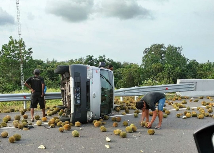 Mobil Pick Up Terjungkal, Durian Berhamburan di KM 50 Tol Indralaya - Prabumulih