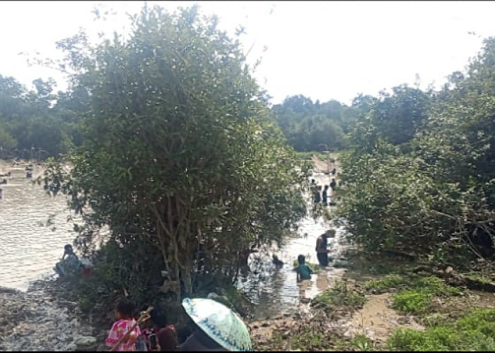 Tradisi Bekarang Masih Lestari, Ratusan Warga Jiwa Baru Turun ke Sungai Tangkap Ikan